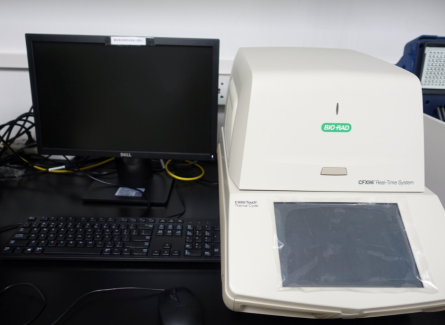 实时定量PCR仪
